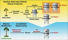 Mascoma bioengineered yeasts have produced 1B gallons plus of ethanol